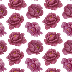 Watercolor peonies pattern. Botanical pattern isolate on a white background for printing. Watercolor painted peonies.