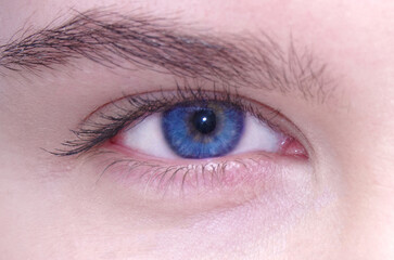 Obraz premium Large female eye