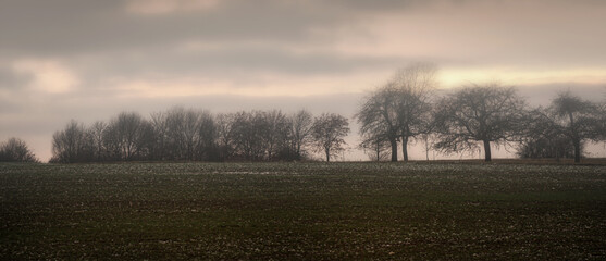 Landschaft im Winter Bäume im Nebel