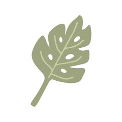 Fototapeta premium Cute vector element monstera leaf on boho nursery clipart. Hand drawn doodle illustration. Cartoon kids clipart for baby shower, kids bedroom decor, birthday party or textile of apparel.