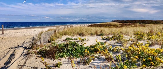 Naklejka premium The beautiful beaches of Massachusetts