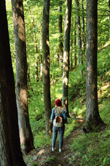 A woman traveler walks through the forest. Beautiful nature landscape in woods. Hiking journey on tourist trail. Outdoor adventure. Travel and exploration. Healthy lifestyle, leisure activities