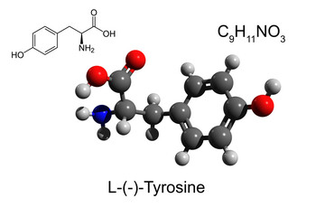 Chemical formula, skeletal formula and 3D ball-and-stick model of L-tyrosine, an essential amino acid, white background