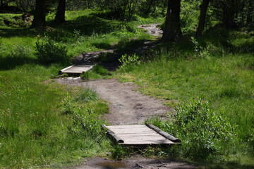 A hiking trail leading on a wooden footbridge through a marsh area near Hotel Paradiso del Cevedale...