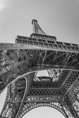 Fototapeta premium Eiffel tower in the summer