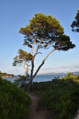 La Presqu'île de Giens, sur la Côte d'Azur