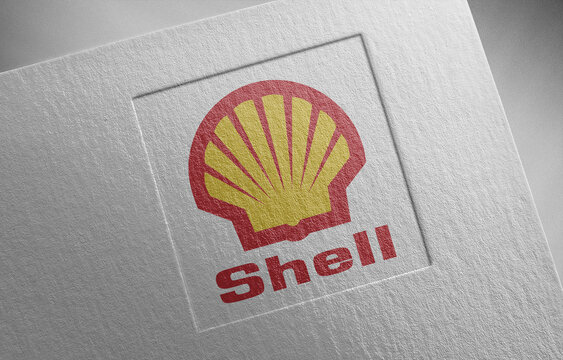 shell_1 on paper texture