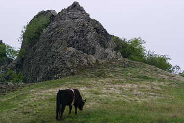 Helfensteine