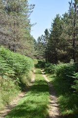 Obraz premium Randonnée dans l'Ariège, en France