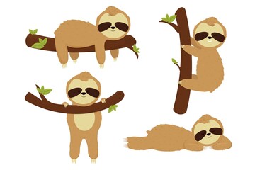 Set sleep, cute sloth isolated on white background. Cartoon bear character rest, hang and relax. Different pose, funny, adorable animal. © Alyona