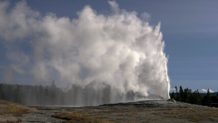 afternoon shot of old faithful erupting in yellowstone