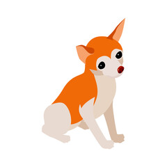 Fototapeta premium Puppy Pet Isometric Composition