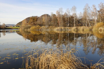 Herbstspiegelung
