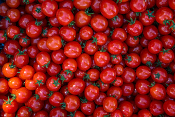 background from red ripe tomatoes grown without chemistry