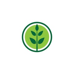  green leaf illustration