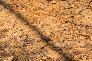 Natural yellow stone background with texture