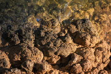 Texture of clay and earth with water.