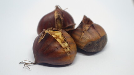 chestnut a white background