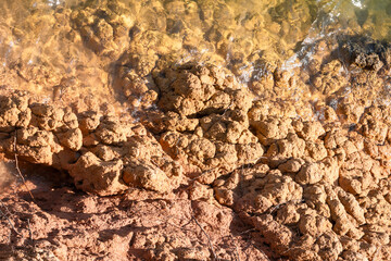 Texture of clay and earth with water.