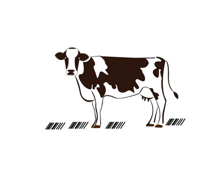 Vector illustration of a farm cow. Cow symbol in the new year 2021