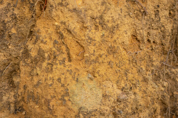 Natural yellow stone background with texture