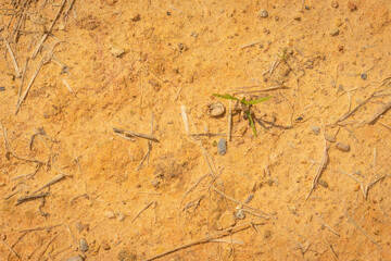 Natural yellow stone background with texture