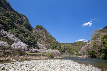 春の古座川峡