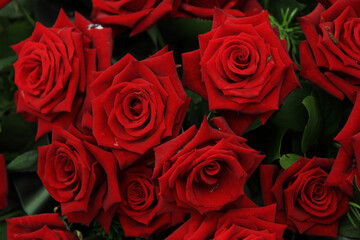 Red roses in bridal bouquet