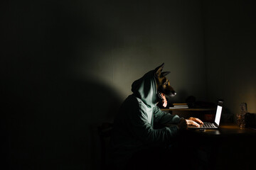 The dog sits at the computer.