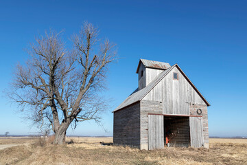 An Old Wood Barn by a Tree with Bare Branches under a Clear Blue Sky