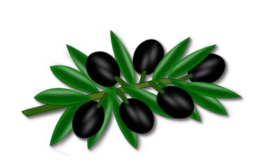Obraz na płótnie Canvas Branch with leaves and black olives on a white background for the design of fabric, dishes, tiles, paper