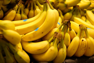 Bananas in the Market