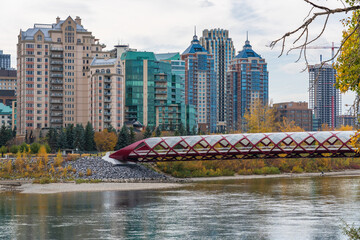 Fototapeta premium Prince's Island Park Peace bridge. Autumn foliage scenery in downtown Calgary Bow river bank, Alberta, Canada.