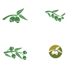 Set Eucalyptus leaves logo vector template design illustration