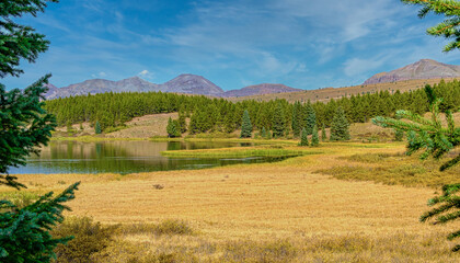 Golden meadow at Andrews Lake Colorado