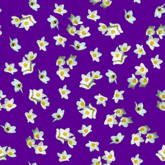 Seamless vegetable raster pattern. White flowers are randomly scattered on a lilac background. Without stem and leaves.