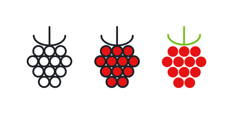 Raspberry icon. Linear color icon, contour, shape, outline. Thin line. Modern minimalistic design. Vector set. Illustrations of fruits