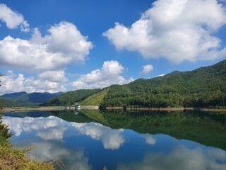우연히 볼일이 급해 차를 세워 발견한 호수