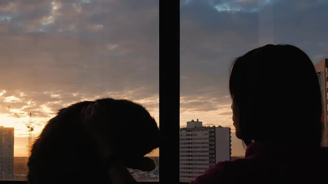 Silhouette of a beautiful woman who listens to music from headphones, a cat sits next to it licking its paw, a sunset outside the window, a cityscape of high-rise buildings and construction cranes