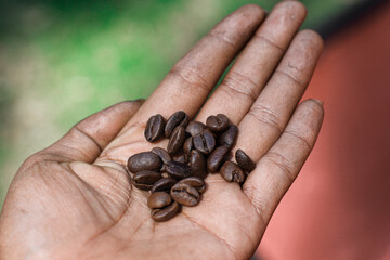 Holding Indonesian natural coffee