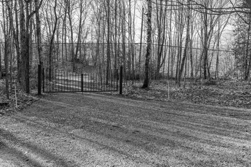 Gated Property driveway view black and white landscape