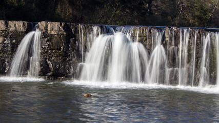 Obraz premium waterfall in the forest