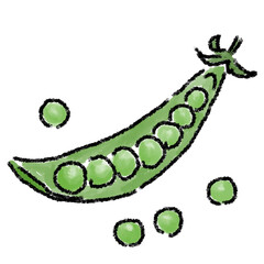グリンピース　イラスト 　水彩　手描き
