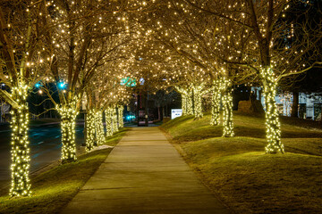 Fototapeta premium alley in the night