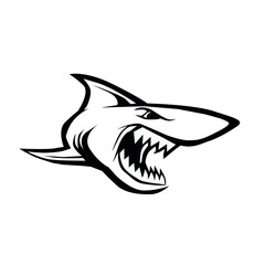 Black and wite shark head