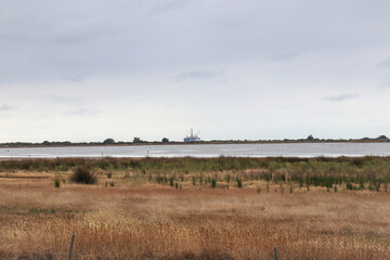 Fototapeta premium cloudy wetland landscape