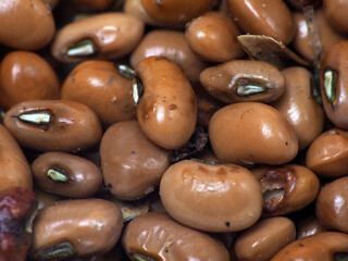 Close up shoot of 'tolo beans' or Vigna unguiculata subsp. unguiculata, one kind of beans that usually processed as food ini Indonesia, capture on white background