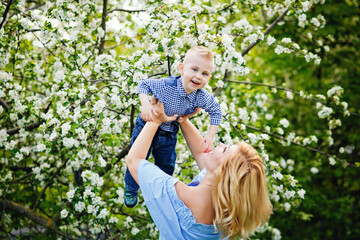 A woman plays with a child on the street in a blooming spring garden. Mother lifts her son in her arms up against the background of apple trees with flowers.