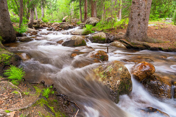 waterfall in the forest