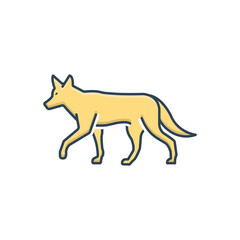 Color illustration icon for jackal 